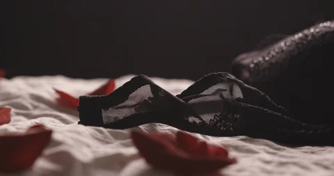 Rose petals on bed Stock Footage 127130392