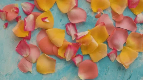 Rose petals blowing by the wind Stock Footage 136931216