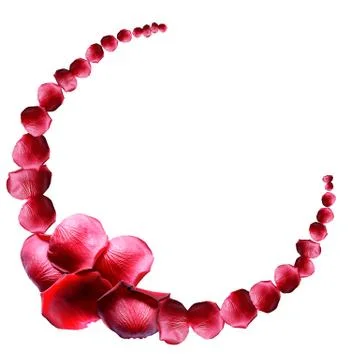 Rose Petals Border Stock Photos