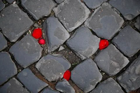 Rose Petals in Cobblestone Stock Photos