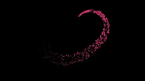 Rose petals in the curved path on dark screen Stock Footage 340263229