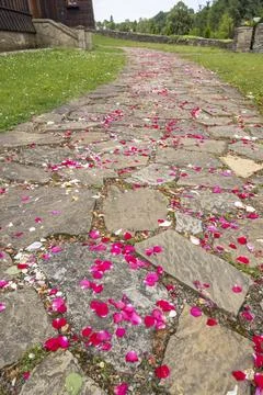 Rose petals decorating stone path in Dukla, Poland, near a wooden building Foto stock