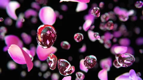 Rose petals exploding with water drops in slow motion 4K Stock Footage 149373114