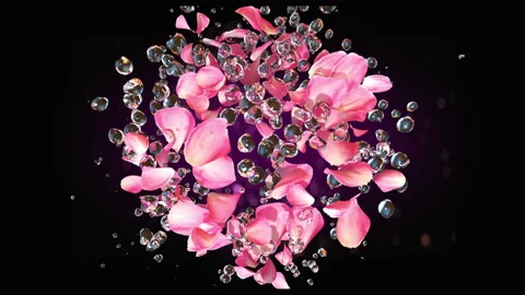 Rose petals exploding with water drops in slow motion 4K Stock Footage 149388895