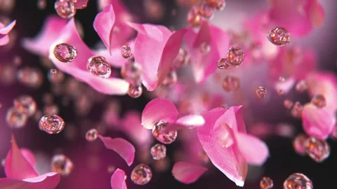 Rose petals exploding with water drops in slow motion 4K Video stock 149407903