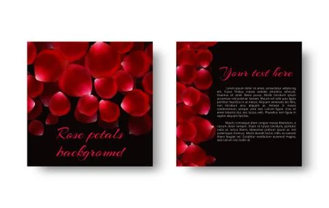 Rose petals fall on a black background Stock Illustration