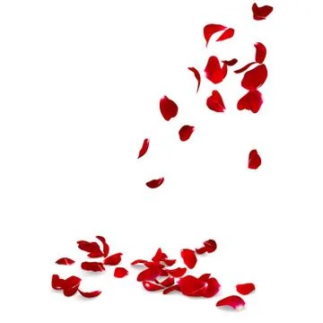Rose petals fall to the floor Stock Illustration