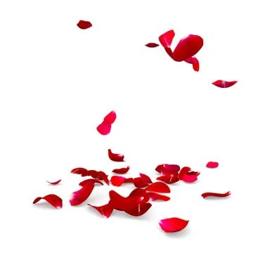 Rose petals fall to the floor Stock Illustration