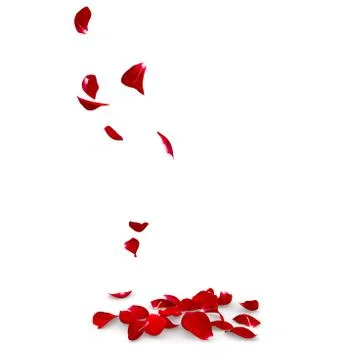 Rose petals fall to the floor Stock Illustration