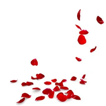 Rose petals fall to the floor Stock Illustration