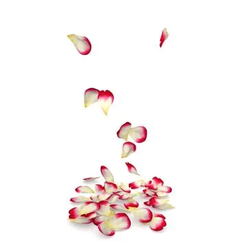 Rose petals fall to the floor Stock Illustration