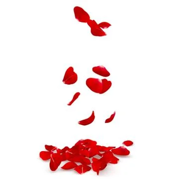 Rose petals fall to the floor Stock Illustration