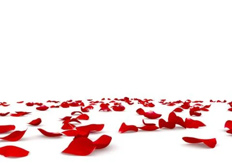 Rose petals fall to the floor Stock Illustration
