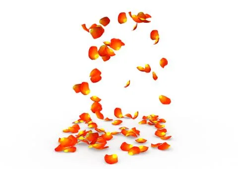Rose petals fall to the floor Stock Illustration