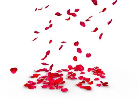 Rose petals fall to the floor Stock Illustration