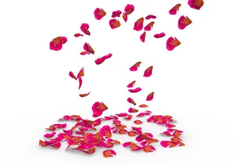 Rose petals fall to the floor Stock Illustration