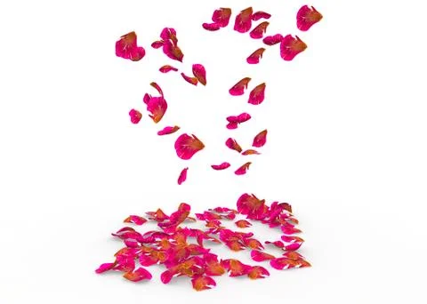 Rose petals fall to the floor Stock Illustration