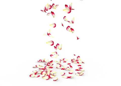 Rose petals fall to the floor Stock Illustration