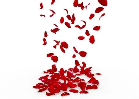 Rose petals fall to the floor Stock Illustration