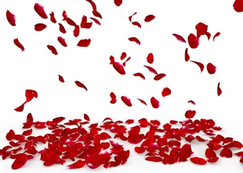 Rose petals fall to the floor Stock Illustration