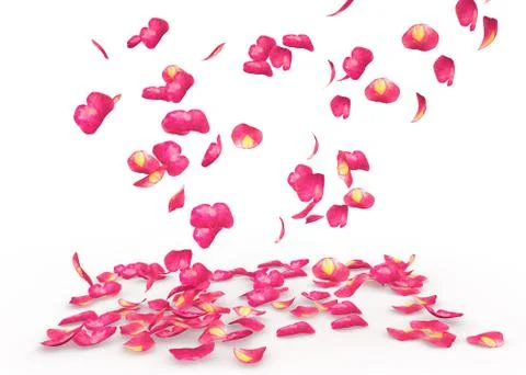 Rose petals fall to the floor Stock Illustration