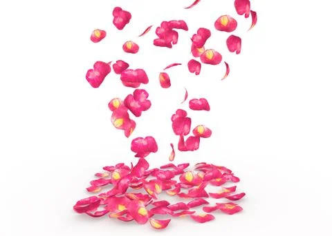 Rose petals fall to the floor Illustrazione stock