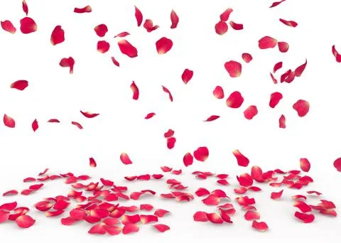 Rose petals fall to the floor Stock Illustration