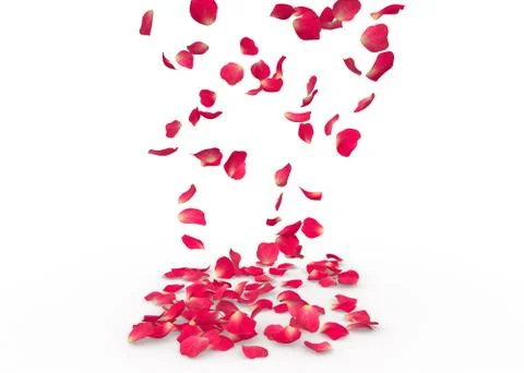 Rose petals fall to the floor Stock Illustration