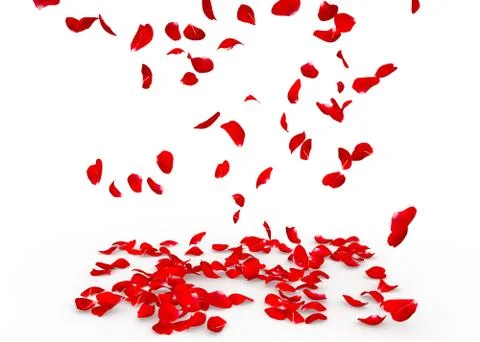 Rose petals fall to the floor Stock Illustration
