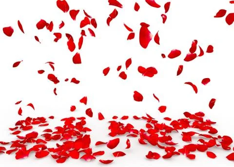 Rose petals fall to the floor Stock Illustration