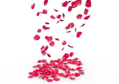 Rose petals fall to the floor Stock Illustration