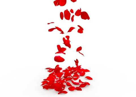 Rose petals fall to the floor Stock Illustration
