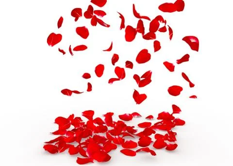 Rose petals fall to the floor Stock Illustration