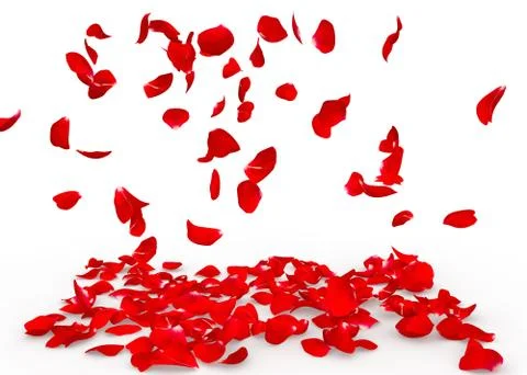 Rose petals fall to the floor Stock Illustration