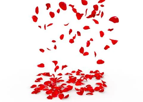 Rose petals fall to the floor Stock Illustration