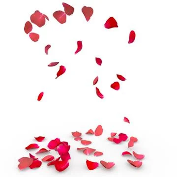 Rose petals fall to the floor Stock Illustration