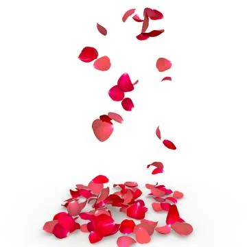 Rose petals fall to the floor Stock Illustration