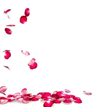 Rose petals fall to the floor Stock Illustration