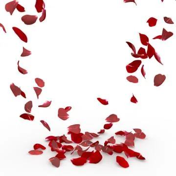 Rose petals fall to the floor Stock Illustration