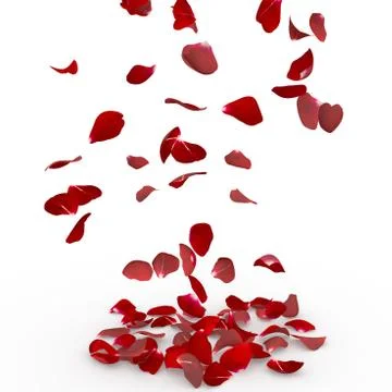 Rose petals fall to the floor Stock Illustration