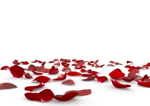 Rose petals fall to the floor Stock Illustration