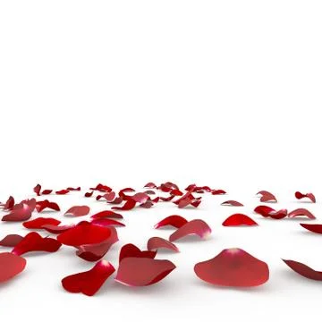 Rose petals fall to the floor Stock Illustration