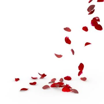 Rose petals fall to the floor Illustrazione stock