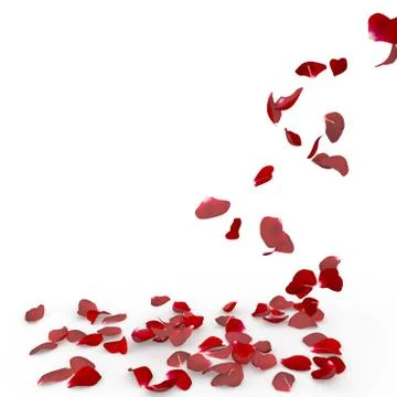 Rose petals fall to the floor Stock Illustration