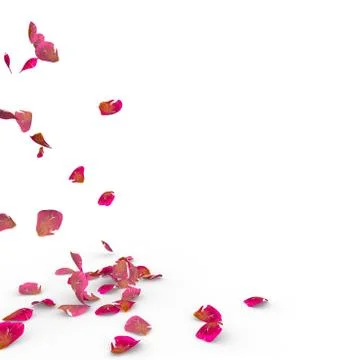 Rose petals fall to the floor Stock Illustration