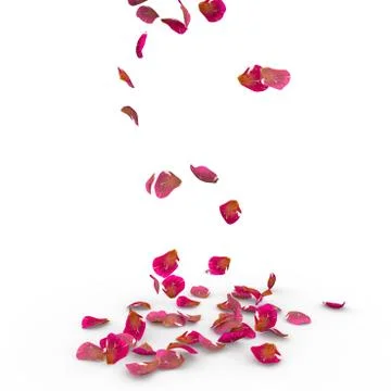 Rose petals fall to the floor Stock Illustration