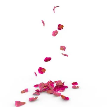 Rose petals fall to the floor Stock Illustration