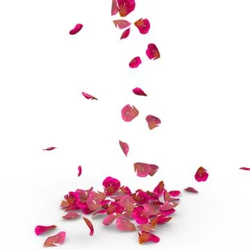 Rose petals fall to the floor Stock Illustration