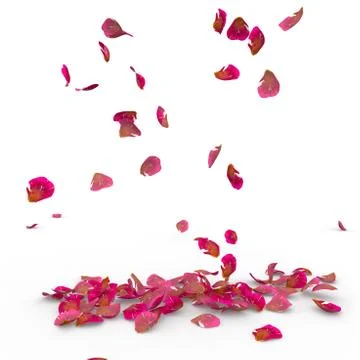 Rose petals fall to the floor Stock Illustration