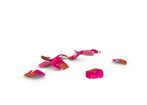 Rose petals fall to the floor Stock Illustration